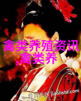 莎车农民养鸽子致富
