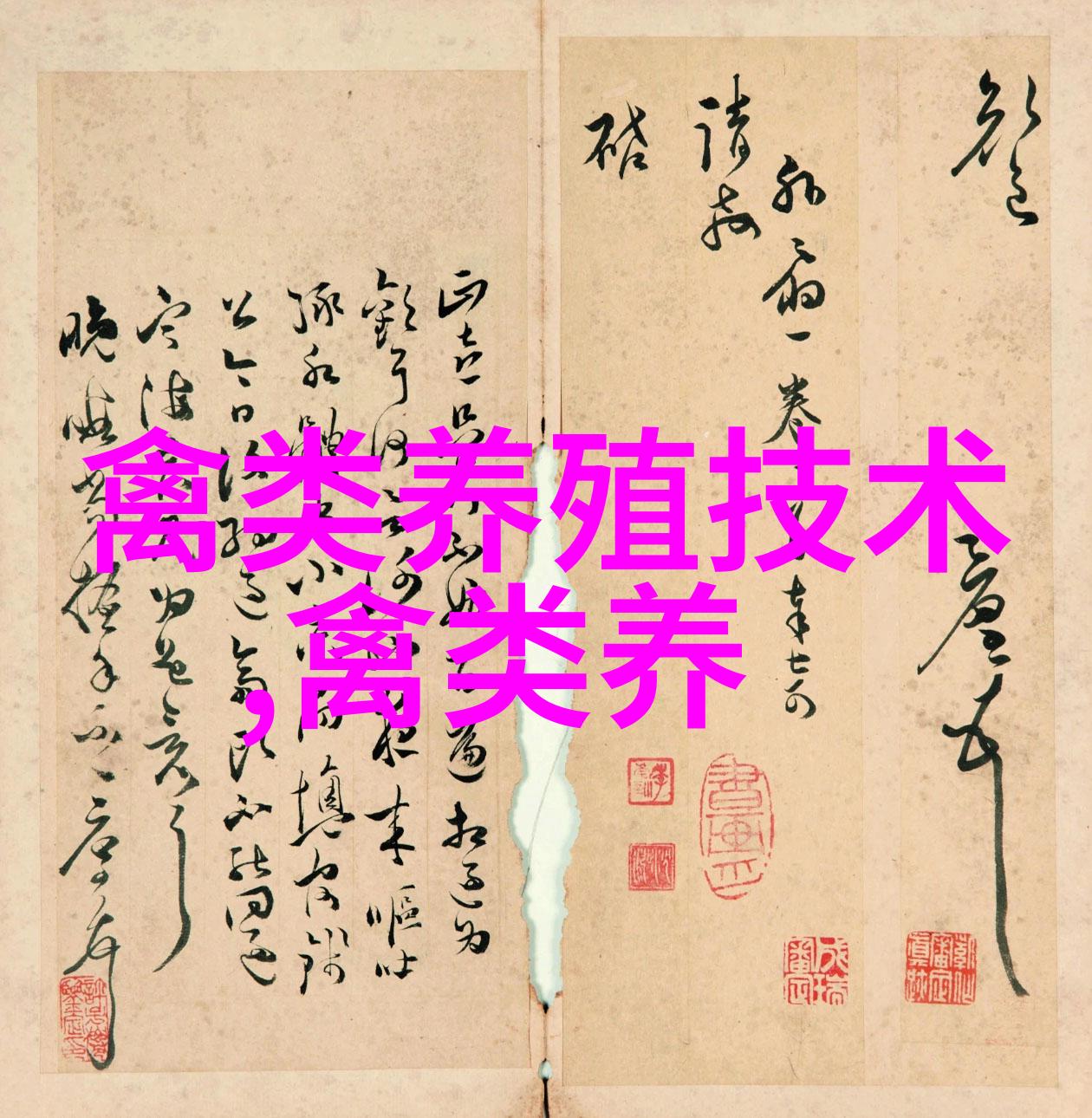鹅曲霉菌病防治措施