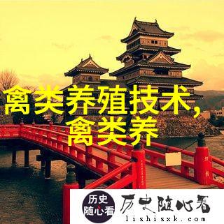 鹅肉的三种加工方法