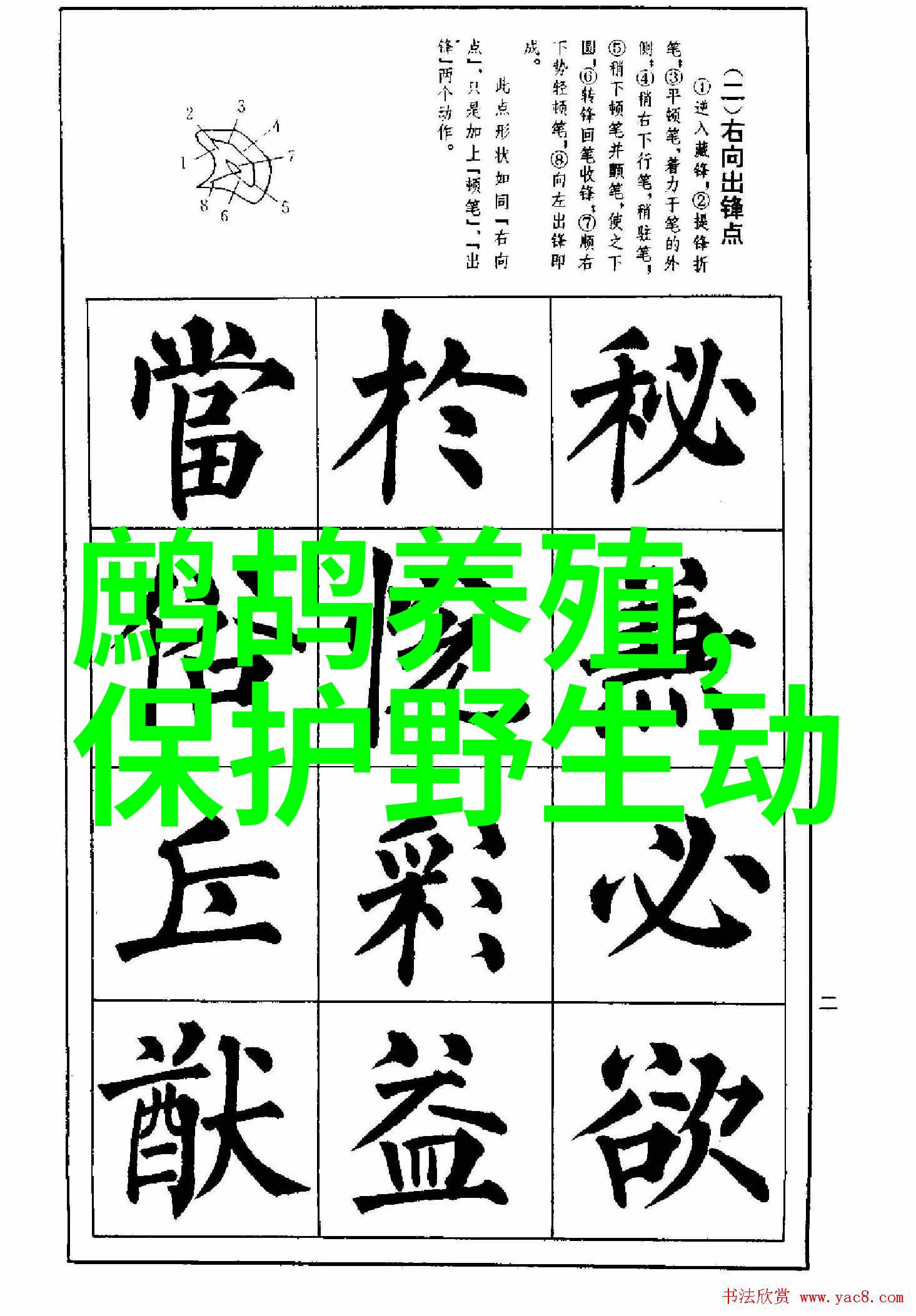 猪秋季裂蹄病防治方法