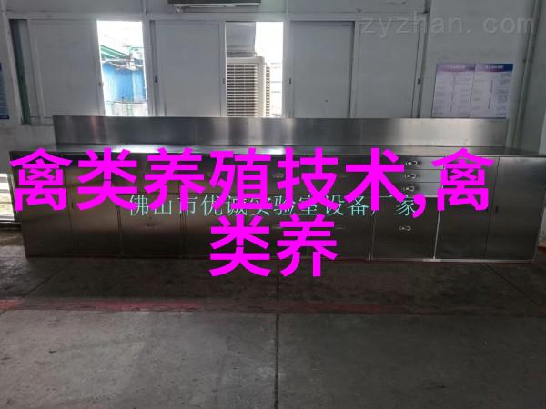 乌骨鸡饲养技巧