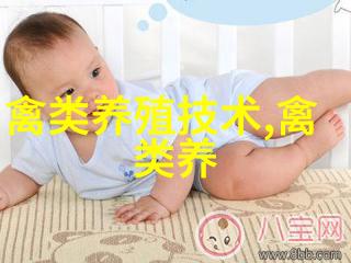 鹅的选种与选配