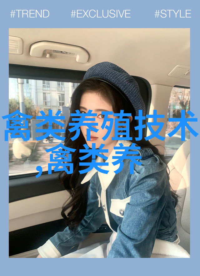 鹅饲养技术