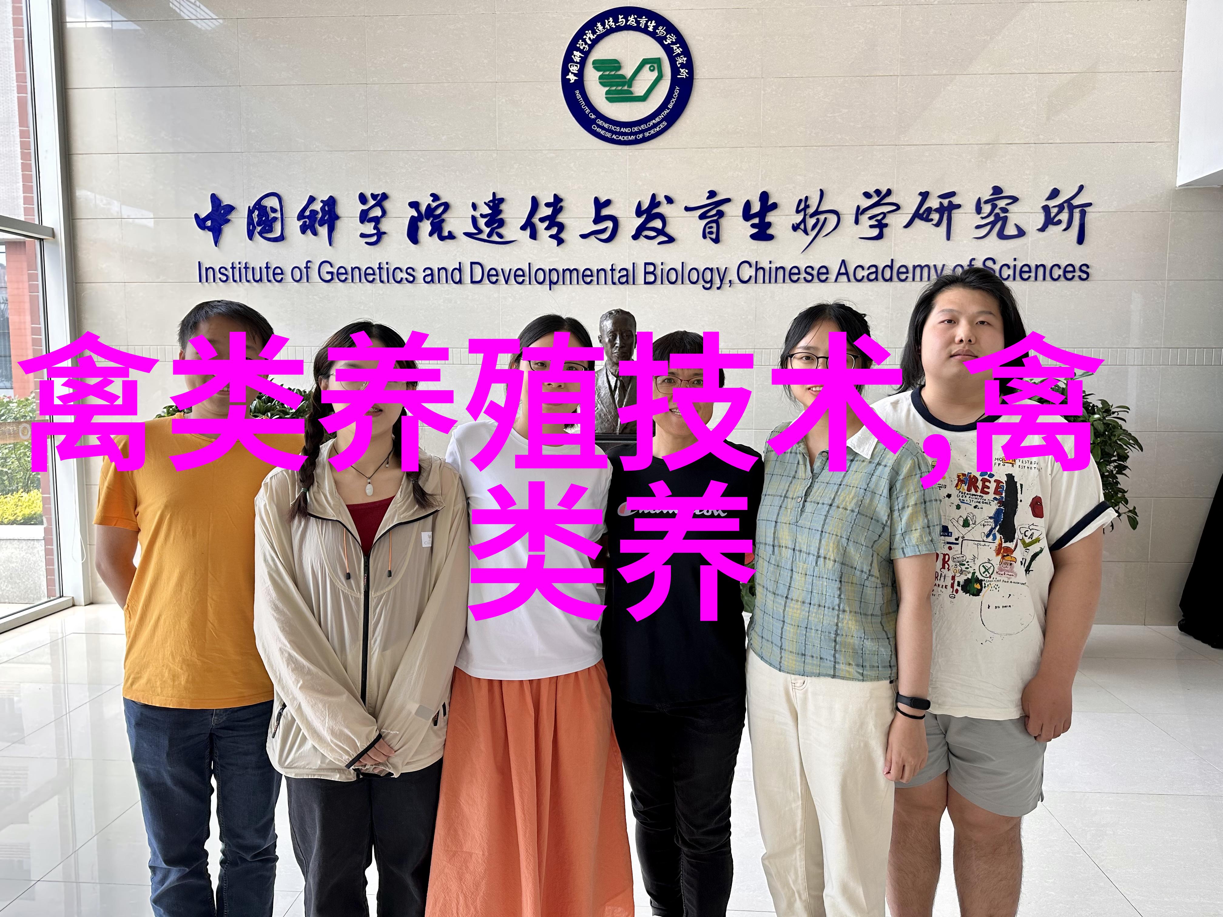 鹅常用抗生素药物多肽类