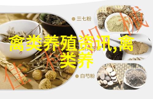 都市养鸽子人要快乐更要文明