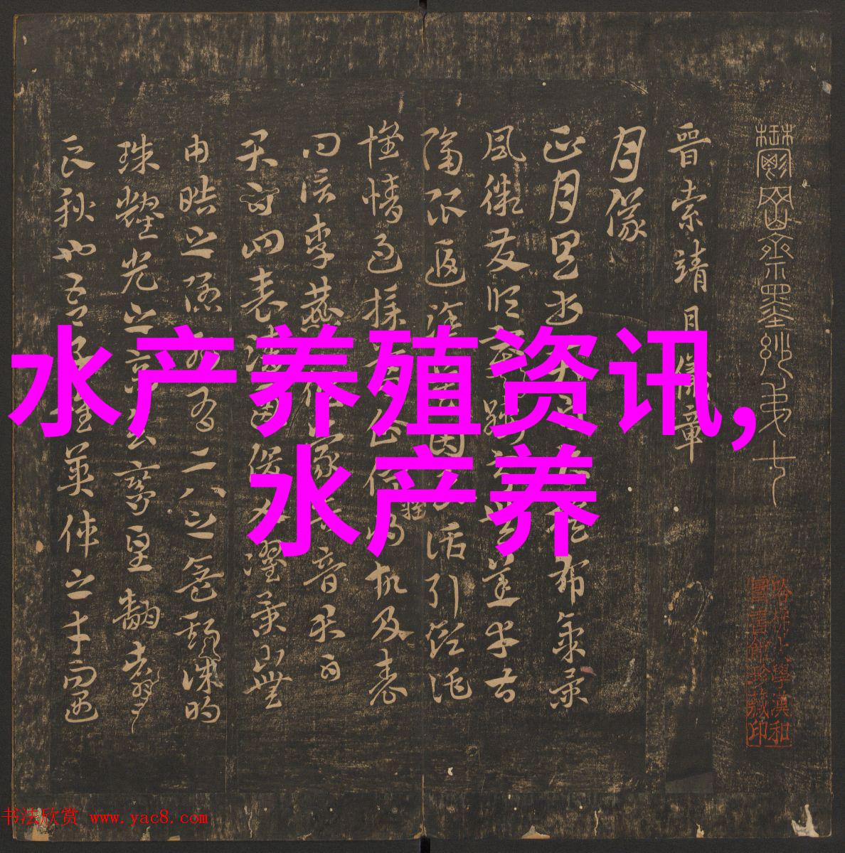 鲍鱼的加工技术