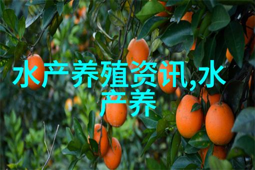 蟹钳港蛏子丰产又丰收