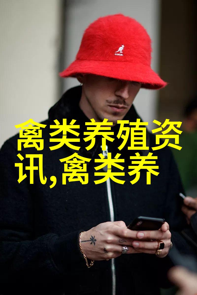 靠珍稀火鸡赚钱的黄井凤