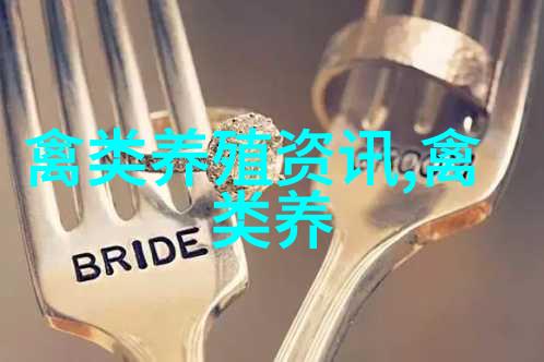 贵州长顺县绿壳蛋鸡的发源地