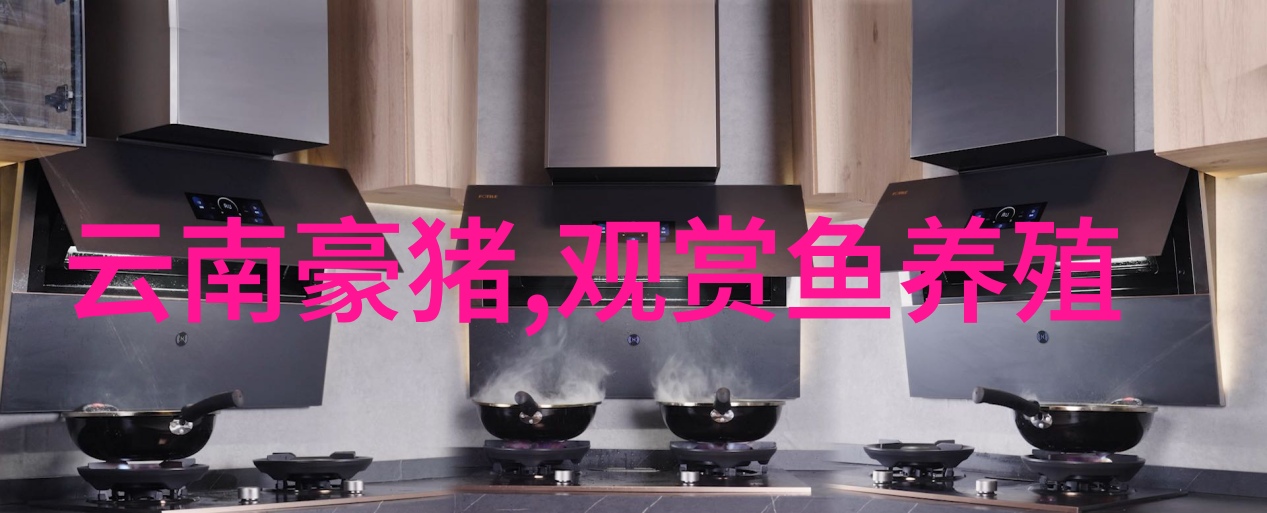 采用热敷法治猪低温