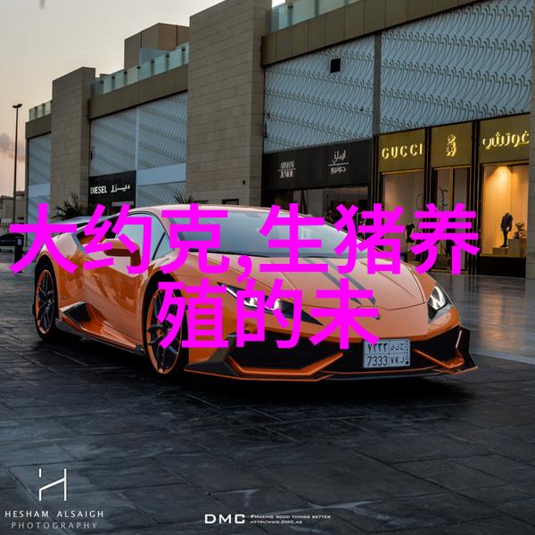 猪打了防疫针为啥还发病