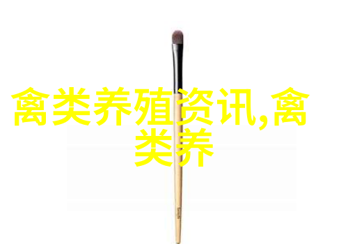 黑鸡是乌鸡吗