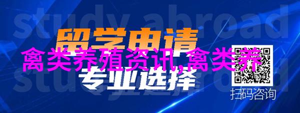 鹌鹑蛋的补脑效果堪比核桃