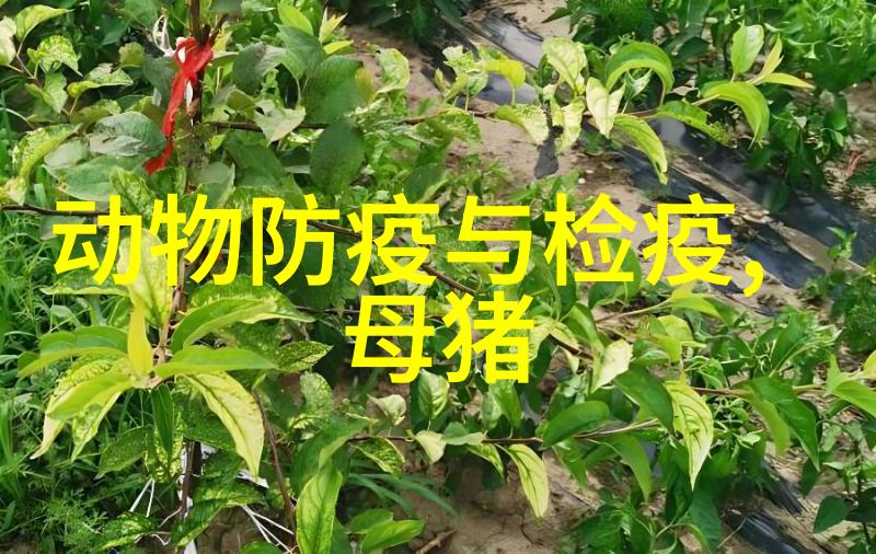 猪恶食癖的防治