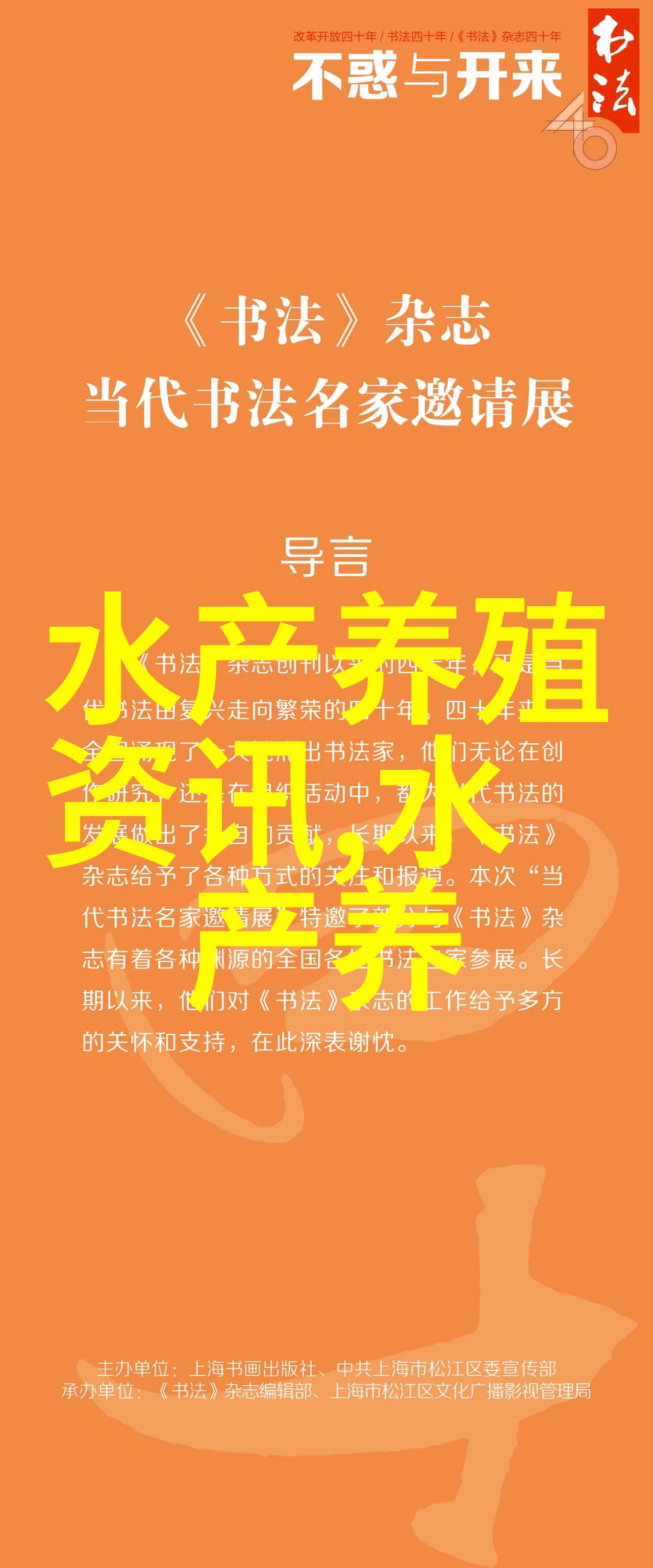 野生大黄鱼 成规模上演王者归来