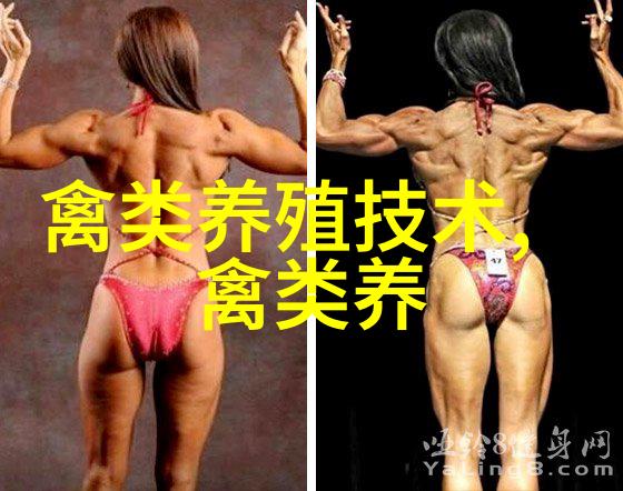 鹅常用抗生素药物青霉素苄青霉素青霉素G
