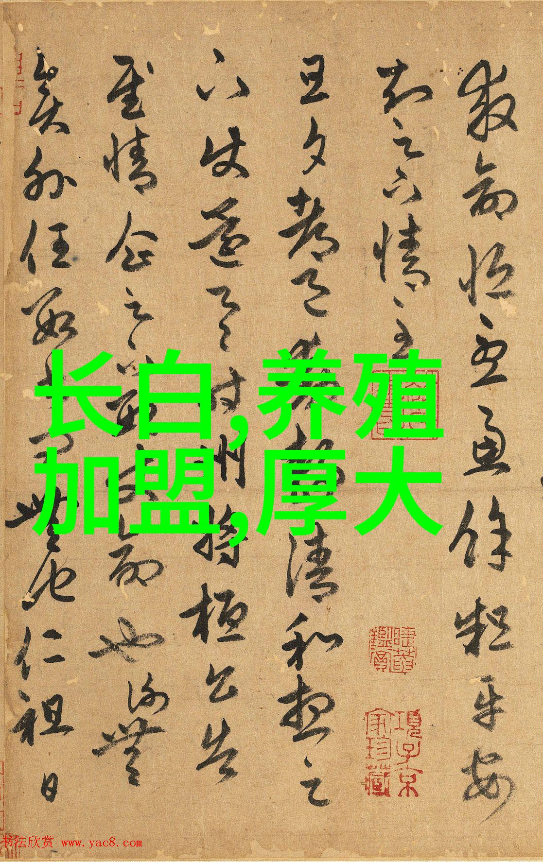 百会穴封闭治疗猪黄白痢