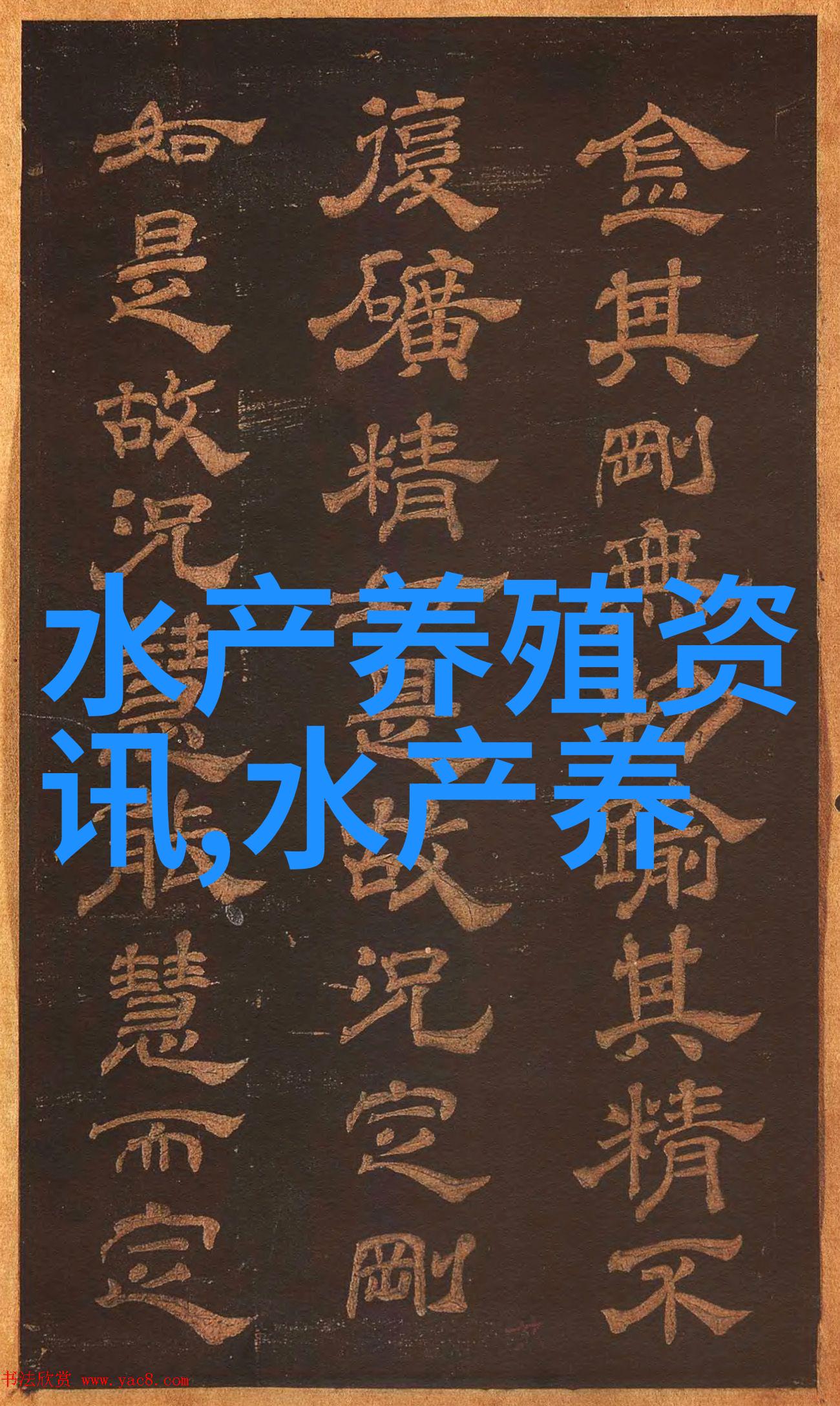 长沙马王堆市场上周水产品价格基本稳定 多宝鱼鲍鱼价格上涨