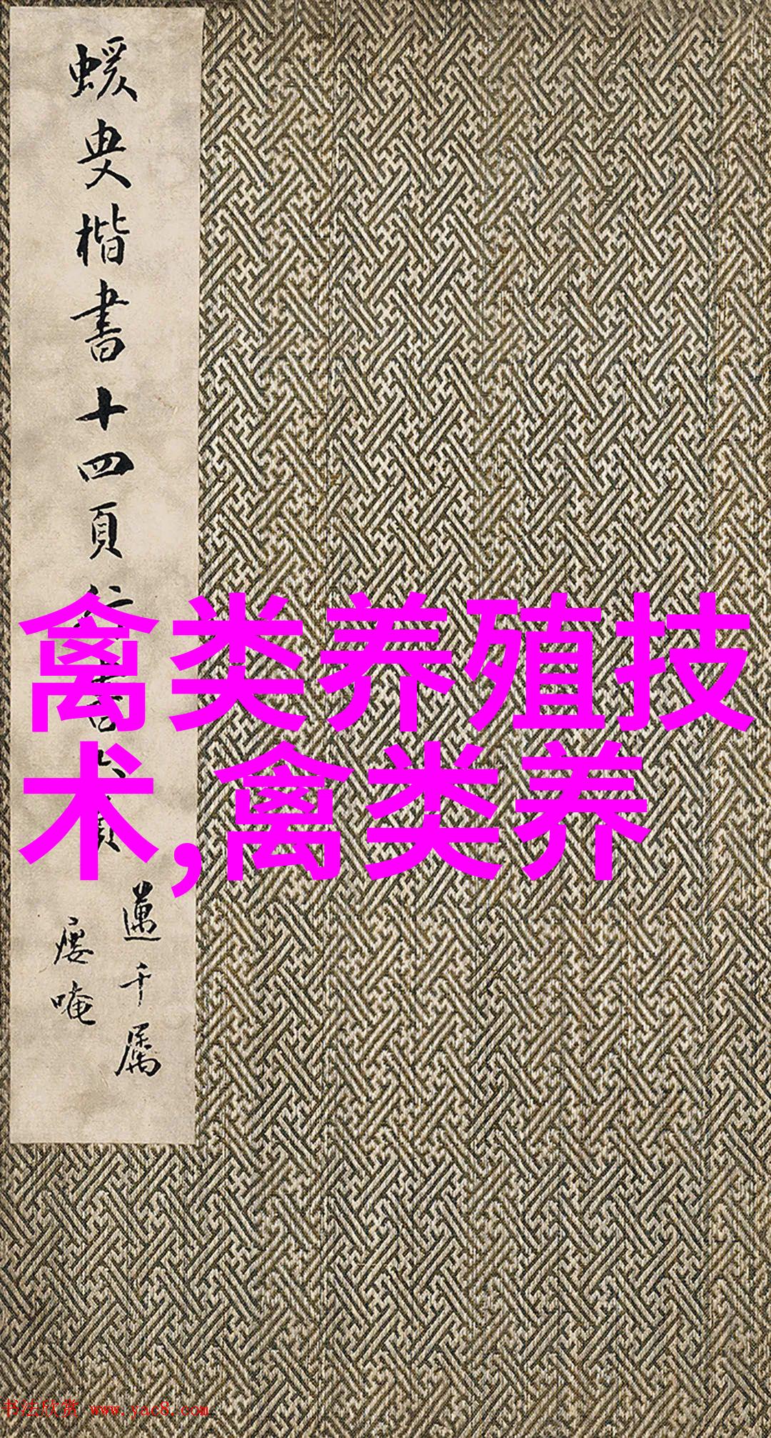 鹅育雏方式