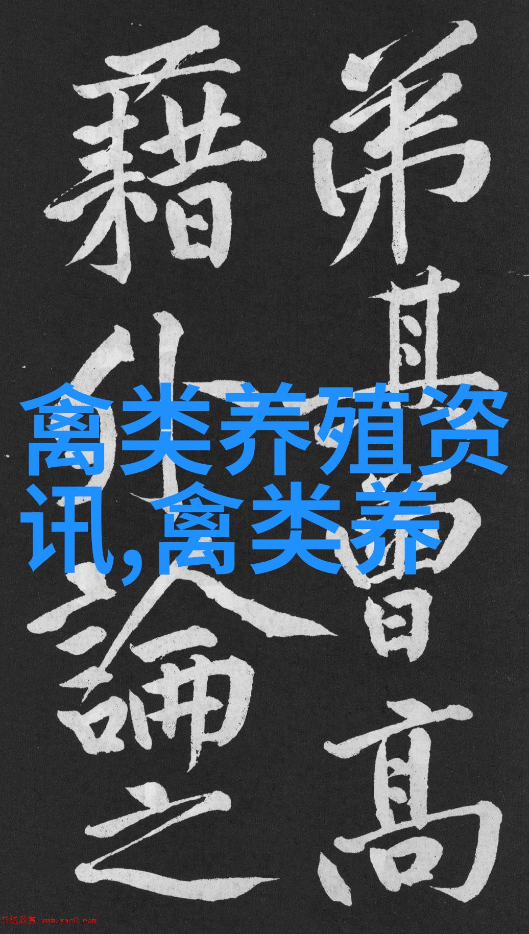 鹅肝加工五要点