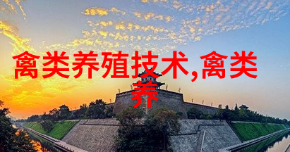 鹅掌楸