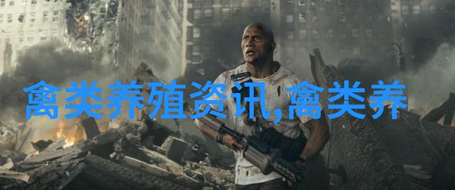 肉鸽养殖又到好时候